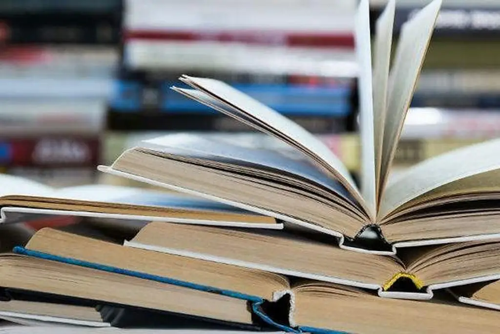 Imagen ¿Qué es ser mediador de lectura? 