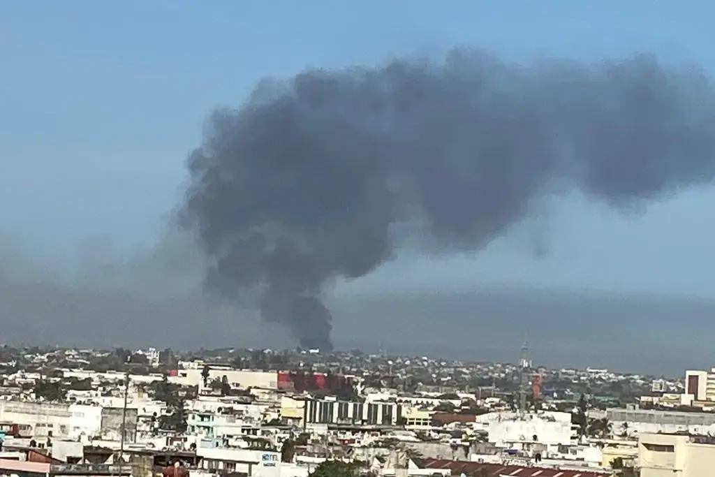 Imagen Gran columna de humo por incendio en Veracruz (+Video)