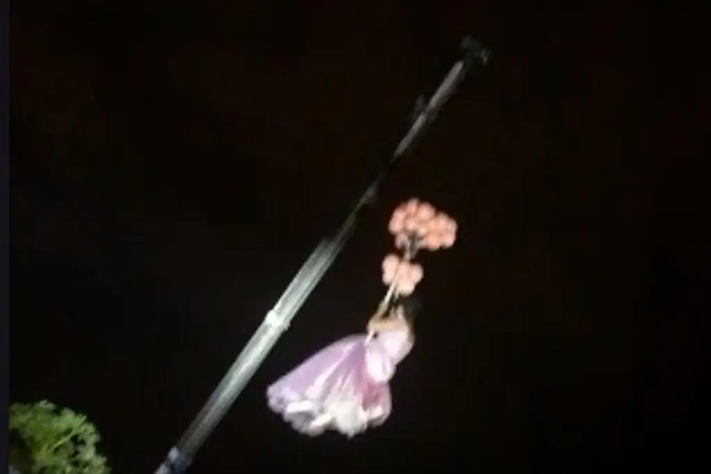 Imagen Quinceañera llega colgada de una grúa a su fiesta (+Video)