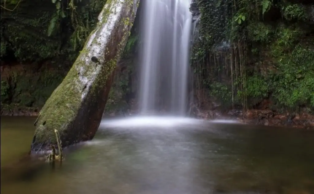 Imagen La ruta de las cascadas, una opción más para Semana Santa 'aquí cerquita'