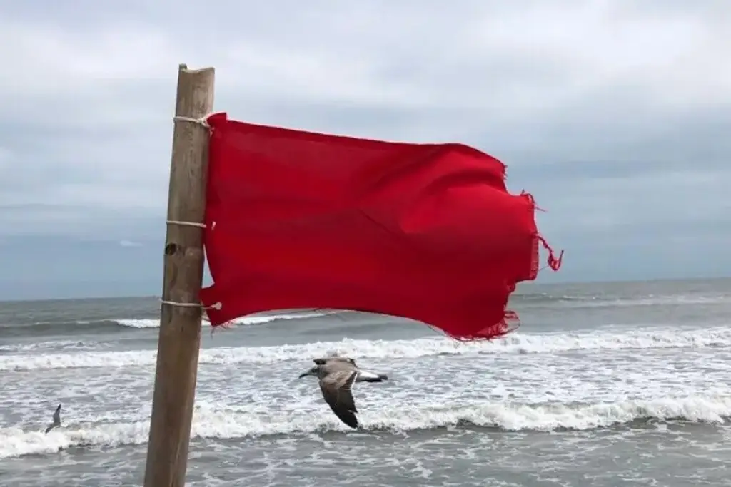 Imagen Así puedes saber si una playa es segura para nadar en Veracruz 