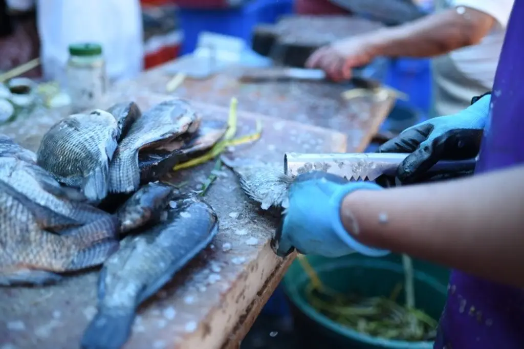 Imagen Alertan por posible contaminación de pescado y camarón en río de Teocelo