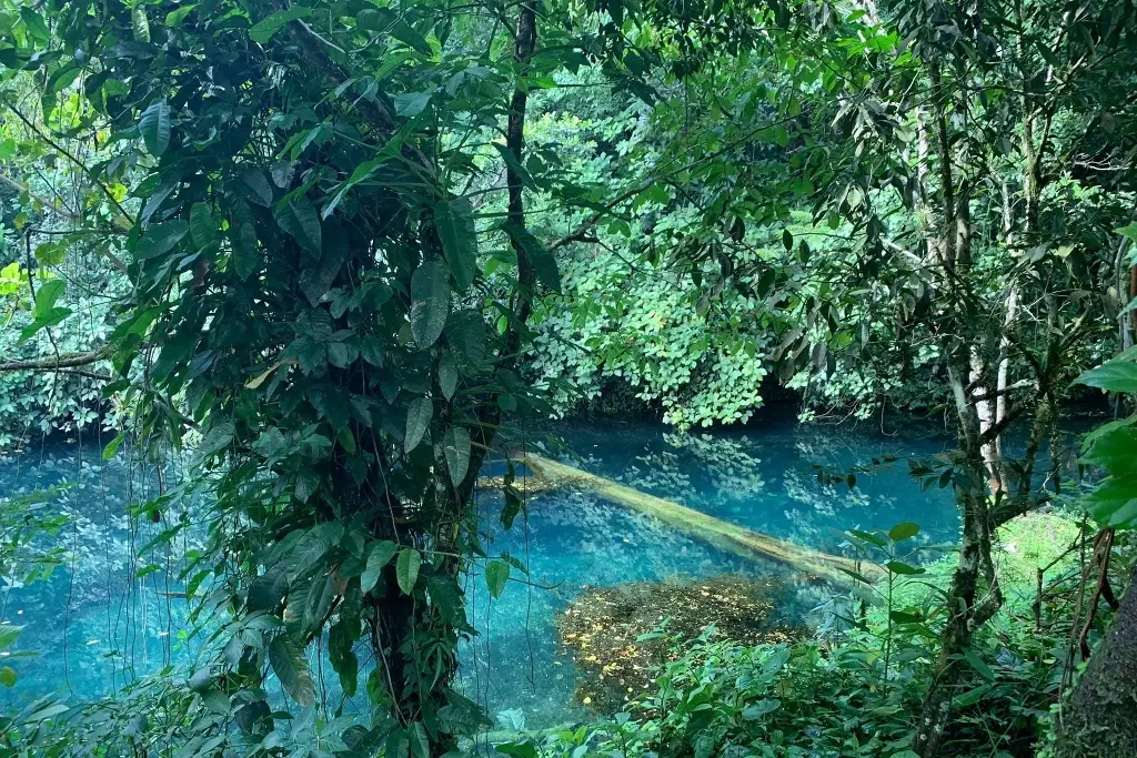 Imagen ¿Conoces la hermosa laguna azul de Veracruz? Así puedes llegar