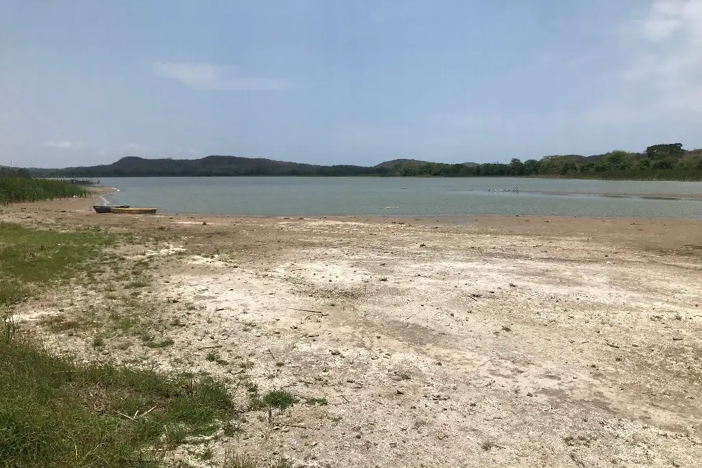 Imagen Laguna de San Julián en Veracruz, se está quedando sin agua