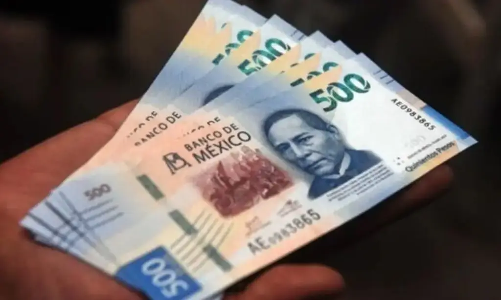 Imagen Checa cuándo pagan pensión del IMSS en Veracruz 