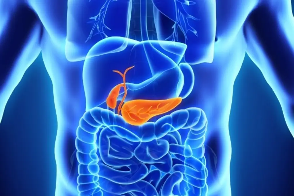 Imagen Estos son los síntomas del cáncer de páncreas 