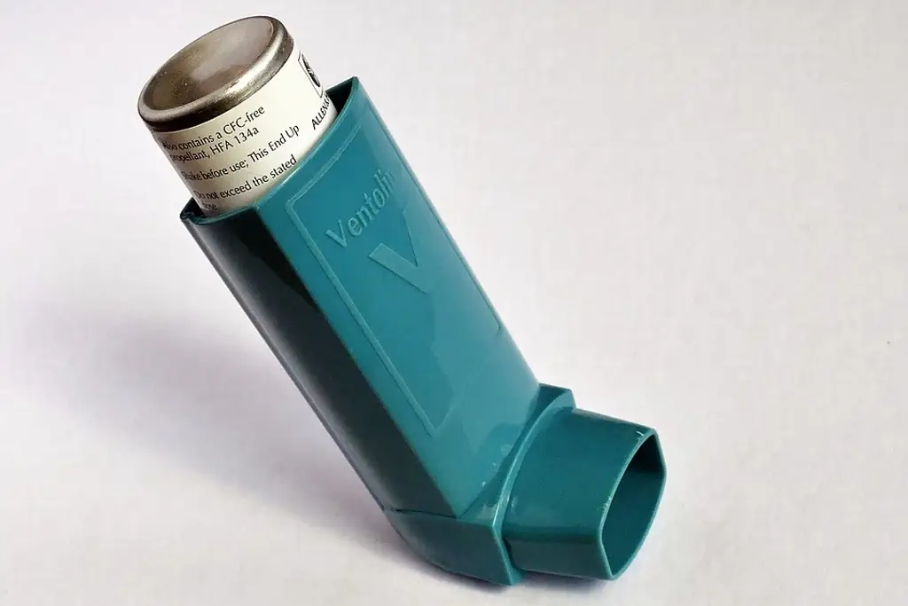 Imagen ¡Ojo! Estos son los síntomas más comunes del asma 