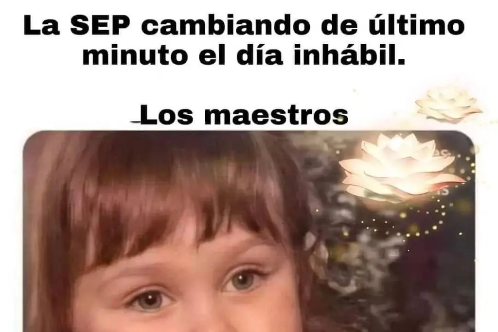 Imagen Memes, críticas y reclamos a la SEV por cambiar día de asueto