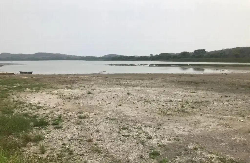 Imagen En un mes presentaremos plan de rescate de laguna San Julián: PMA 