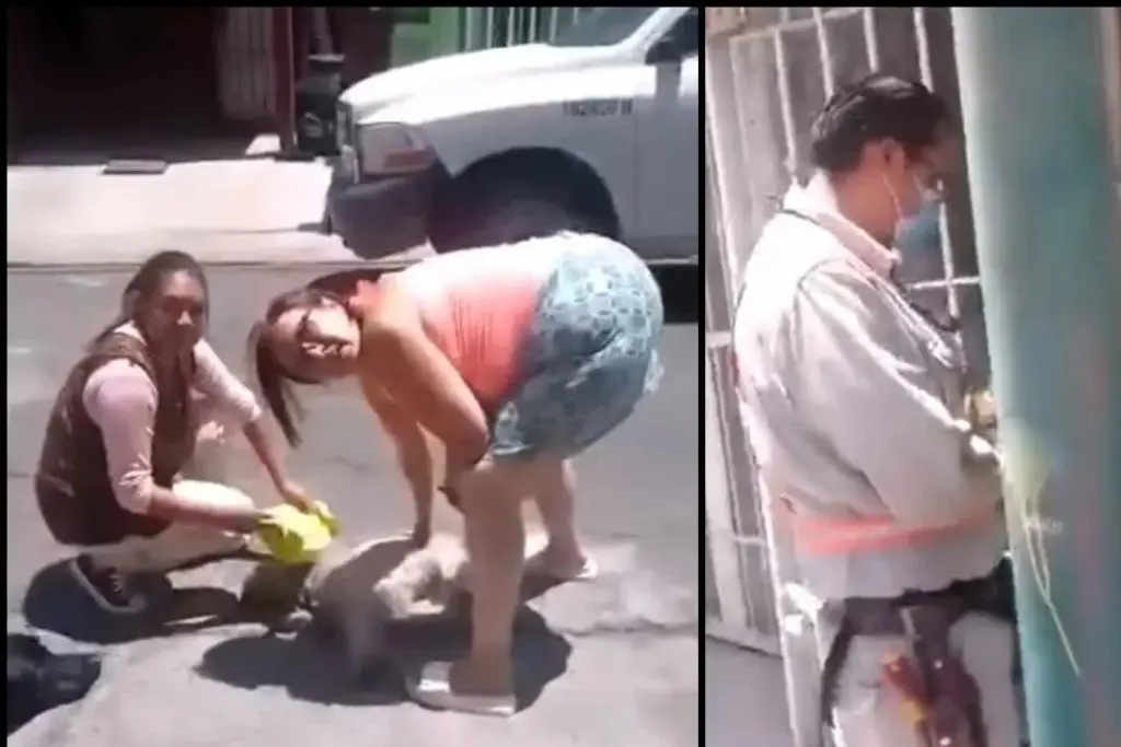 Imagen Acusan a empleado de CFE por apuñalar con un desarmador a una perrita (+Video)