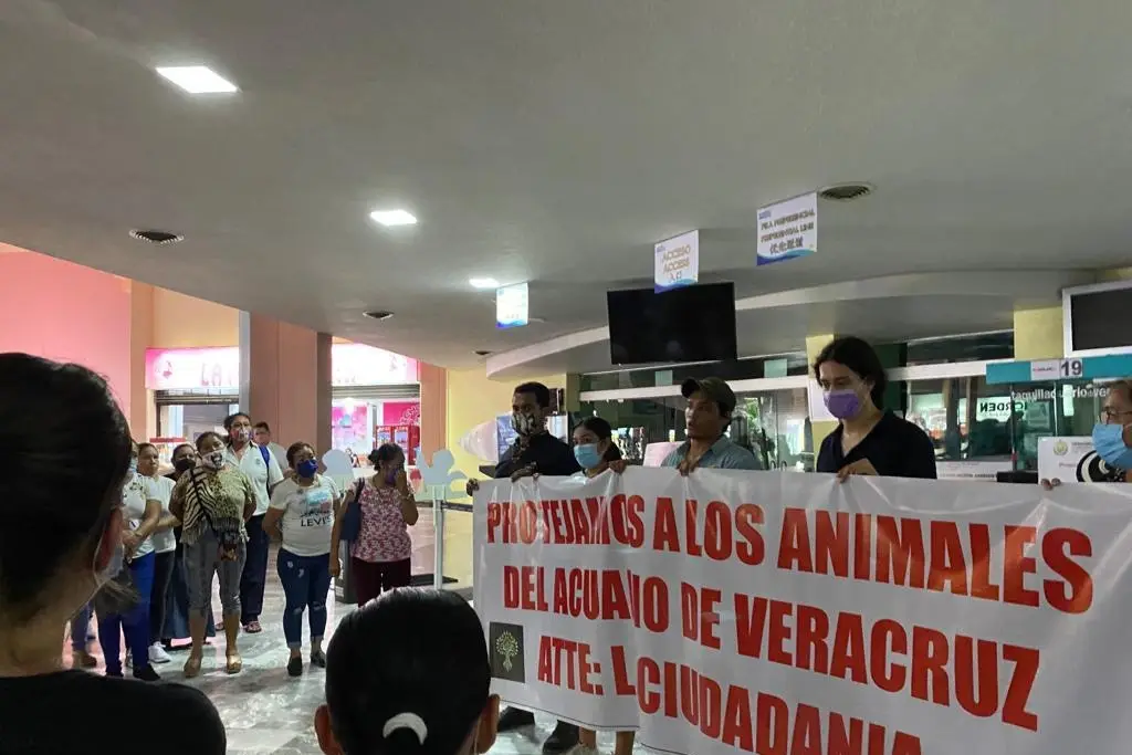 Imagen Ciudadanos exigen se reabra el Acuario de Veracruz; comerciantes reportan afectación