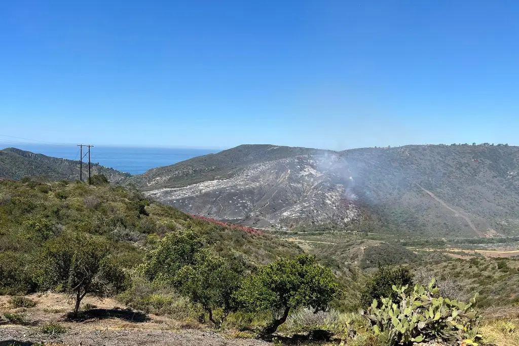 Imagen Incendios forestales arrasan con California y Nuevo México 
