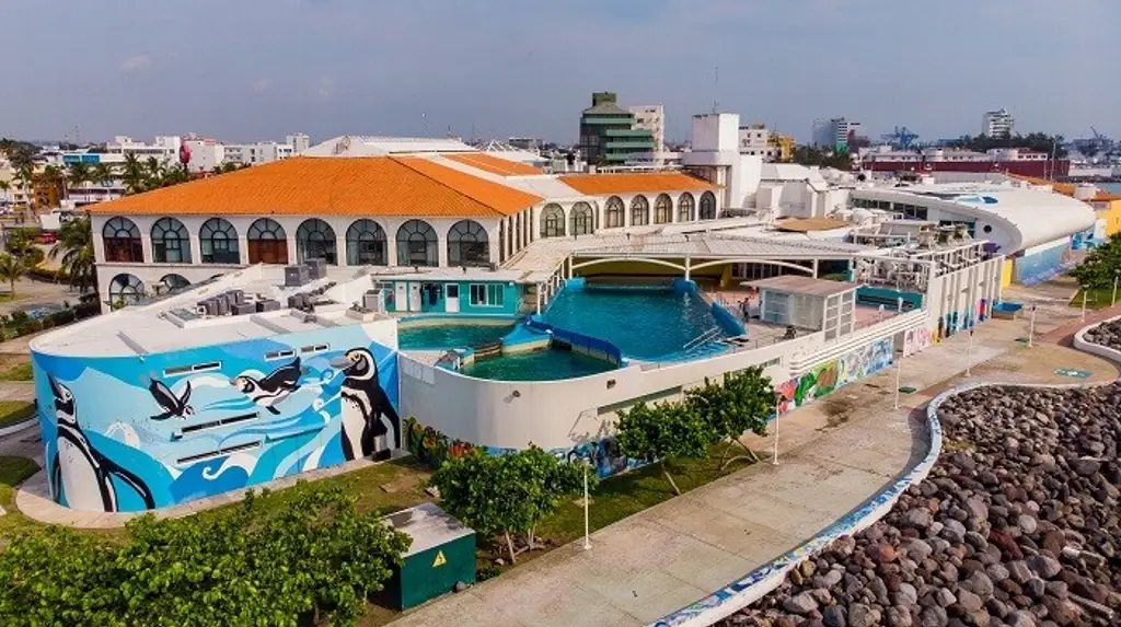 Imagen Es importante tener abierto el Acuario de Veracruz: Alcaldesa 