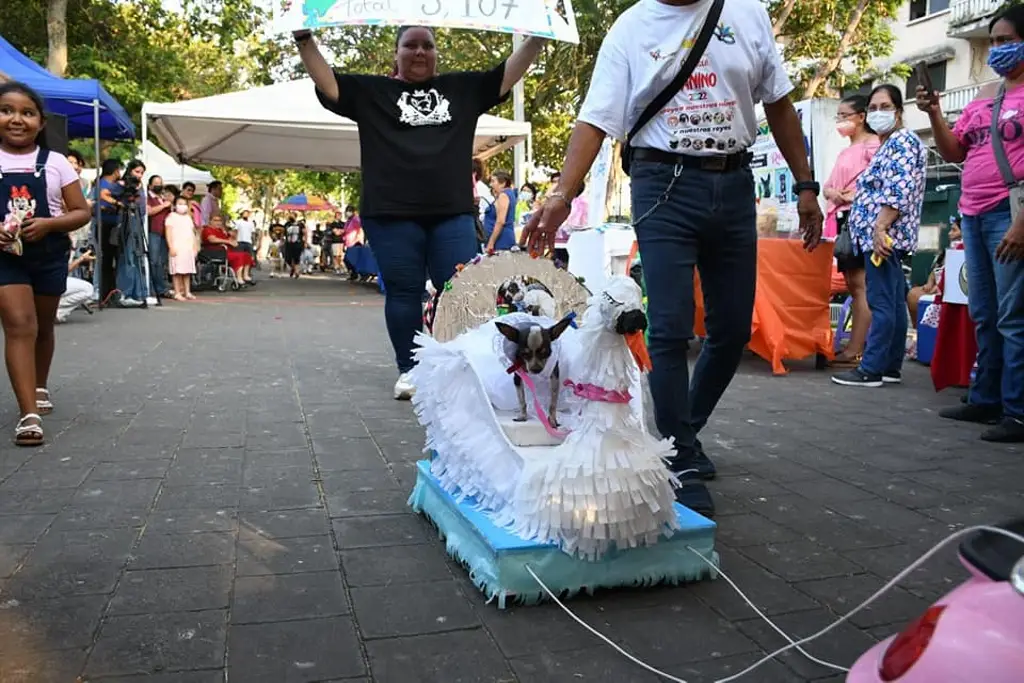 Imagen Realizan Carnaval Canino en Veracruz