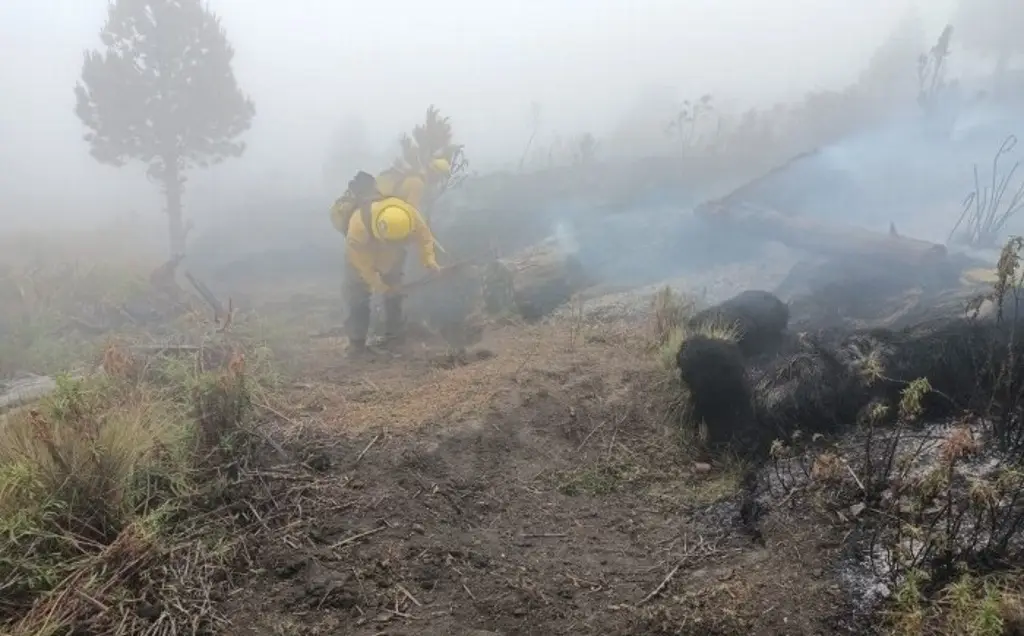 Imagen Cien por ciento liquidado, incendio en el Parque Nacional Pico de Orizaba