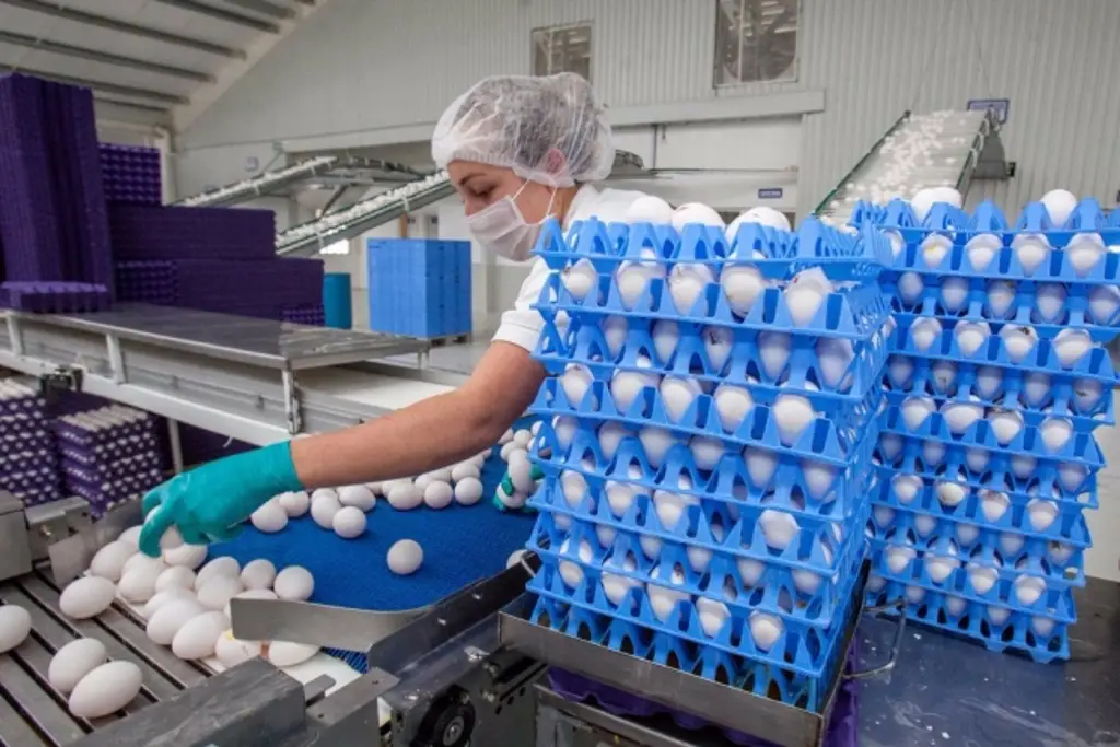Imagen Eliminan aranceles a productos; en Nuevo León se dispara el precio del huevo