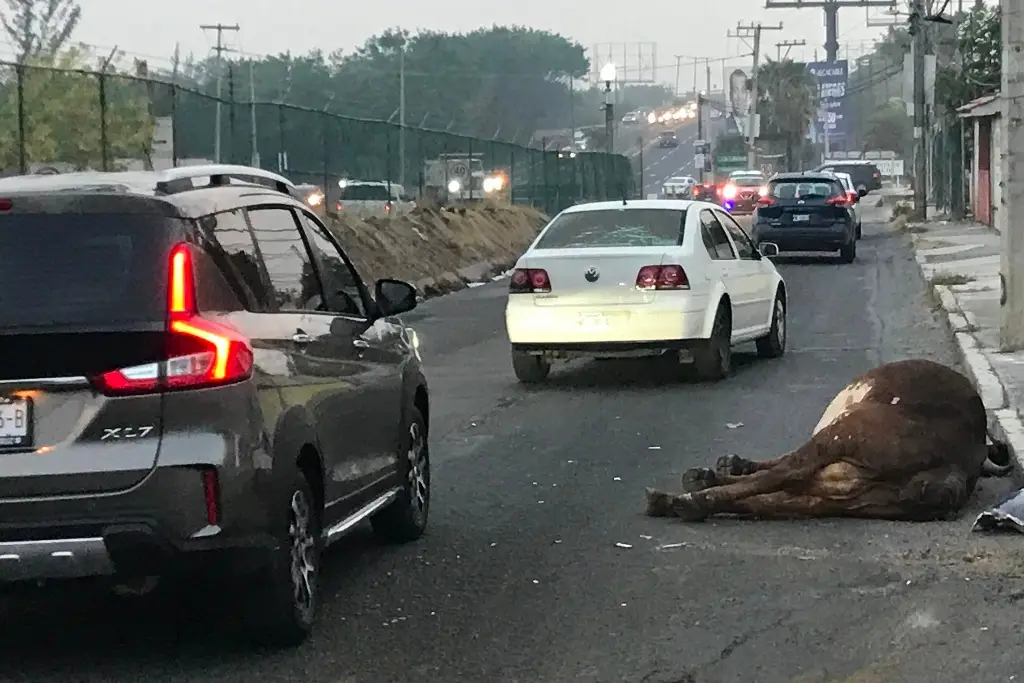 Imagen Afectación vial al poniente de Veracruz