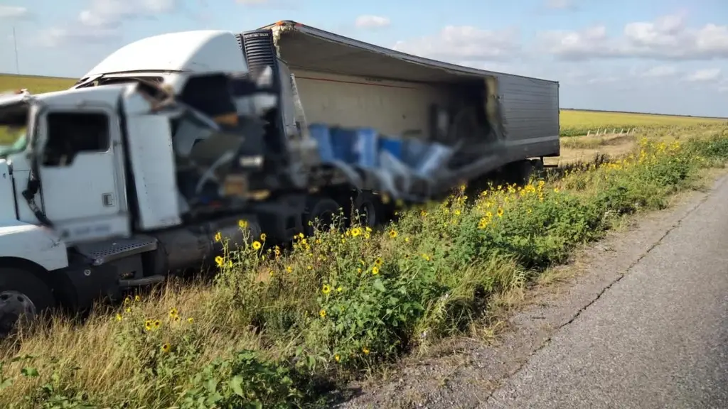 Imagen Vuelca trailer con 4 toneladas de perros y gatos muertos