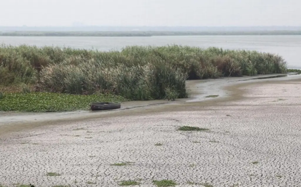Imagen Veracruz - Boca del Río, con grado de sequía moderado: Conagua 