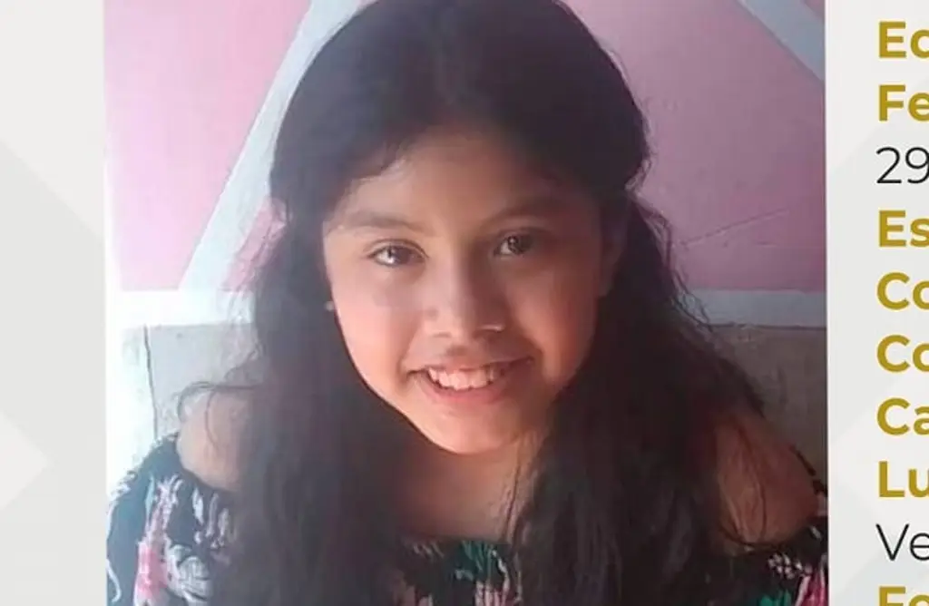Imagen Desaparece niña de 11 años en Veracruz 