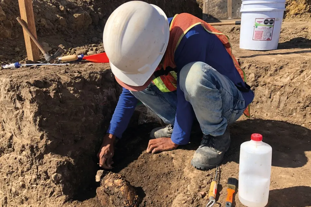 Imagen Descubren sitio prehispánico del año 900 d.C. cerca de Mazatlán