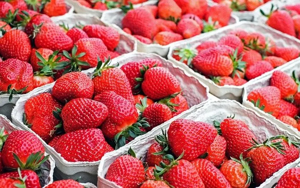 Imagen Investigan casos de hepatitis vinculados a fresas contaminadas