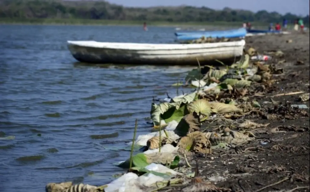 Imagen Contaminación, tala e invasión enfrentan 33 lagunas en Veracruz