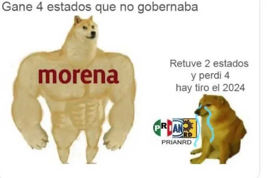 Imagen Líder de Morena se burla de oposición con meme de perritos