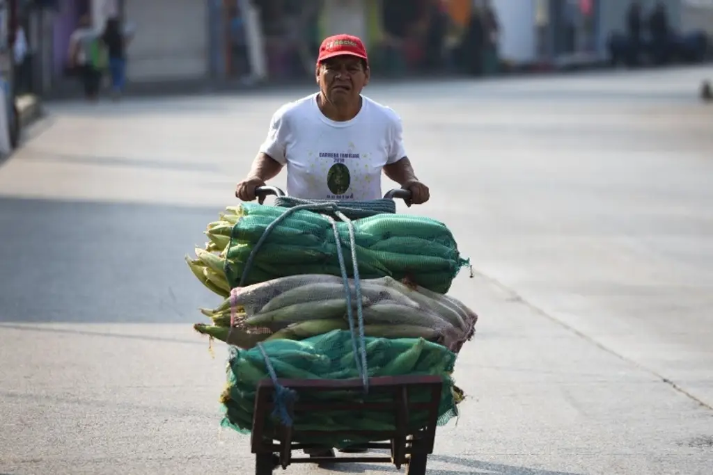Imagen El 60% de los trabajadores en Veracruz están en la informalidad: Observatorio