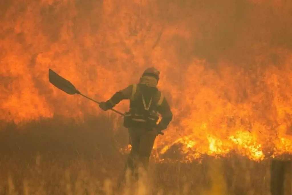 Imagen Incendios forestales y ola de calor agobian a Europa