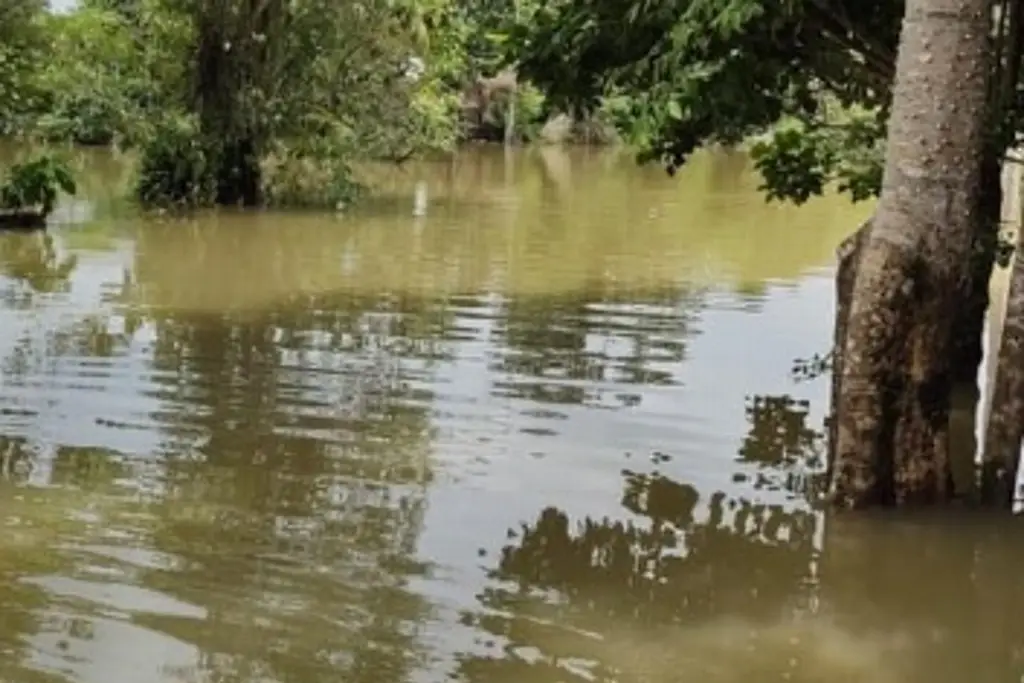 Imagen Así se encuentran los niveles de los ríos en Veracruz debido a las lluvias 