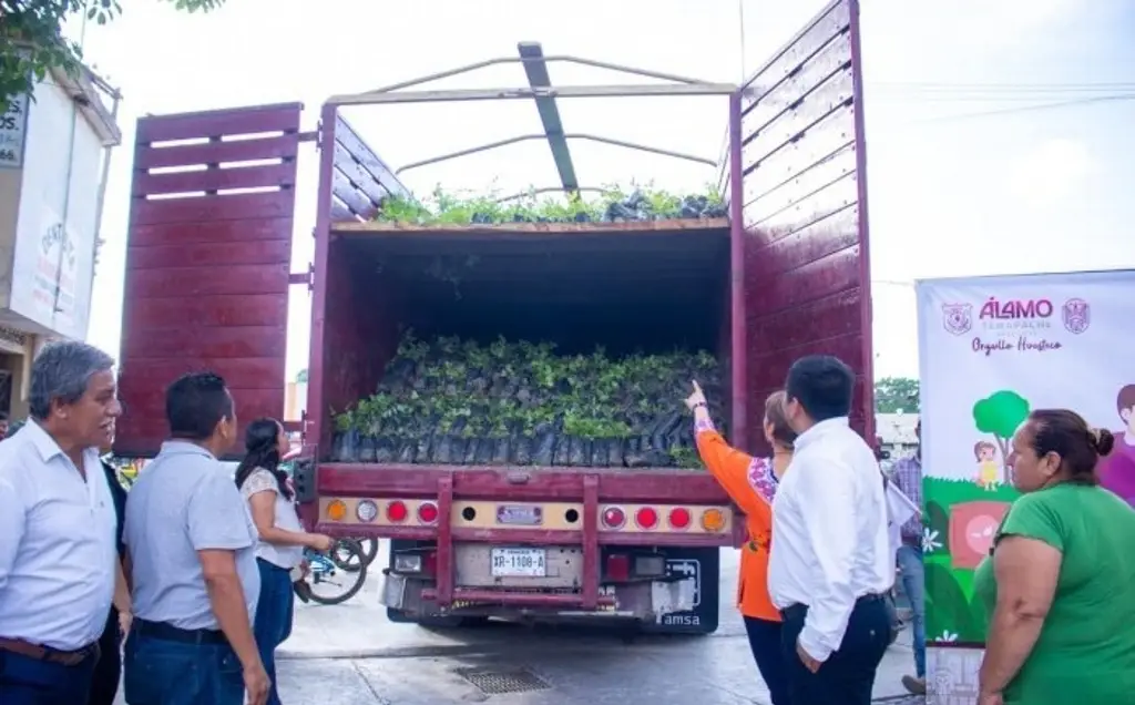 Imagen Inicia campaña de forestación y reforestación en Álamo, Veracruz 