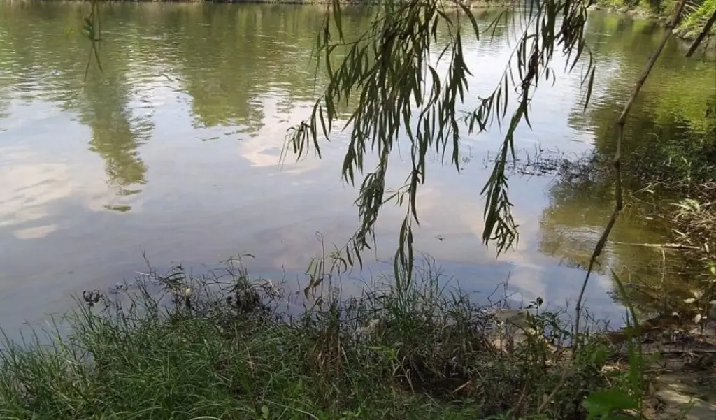 Imagen Reportan nuevo derrame de hidrocarburo en el río Cazones 