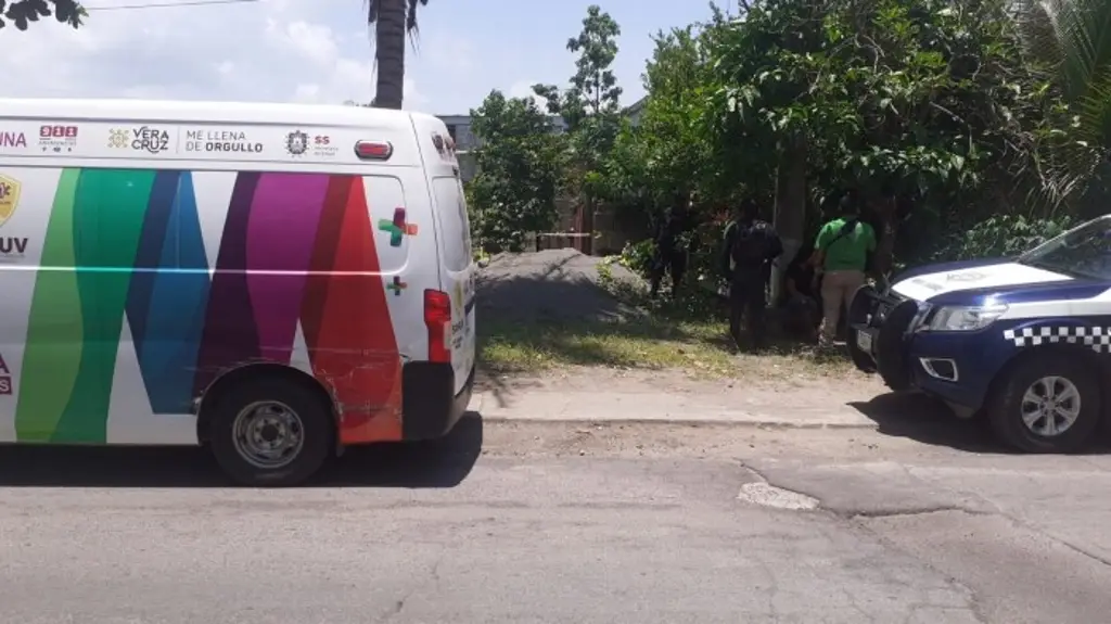 Hallan sin vida a menor de edad al interior de su casa en Medellín de ...