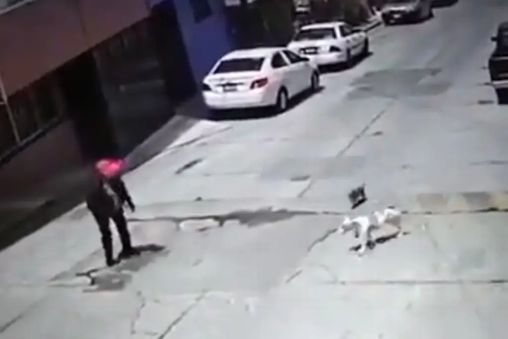 Imagen Captan ataque de perro pitbull a adulta mayor (+Video)