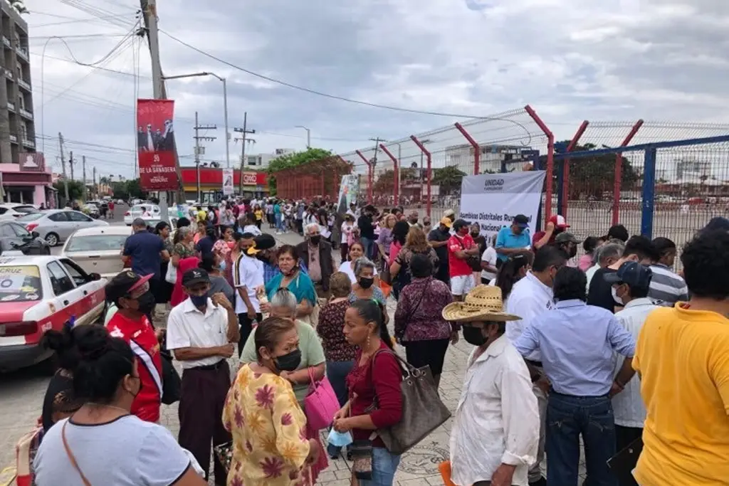 Imagen Largas filas en elección interna de Morena 