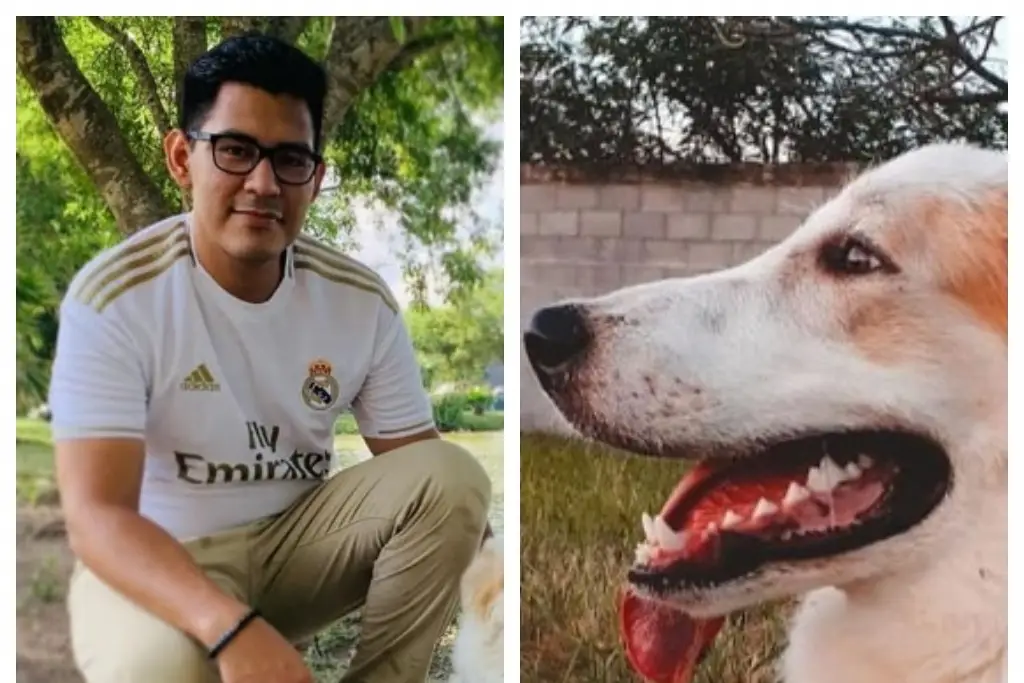 Imagen Muere joven y su perrito en trágico accidente automovilístico 