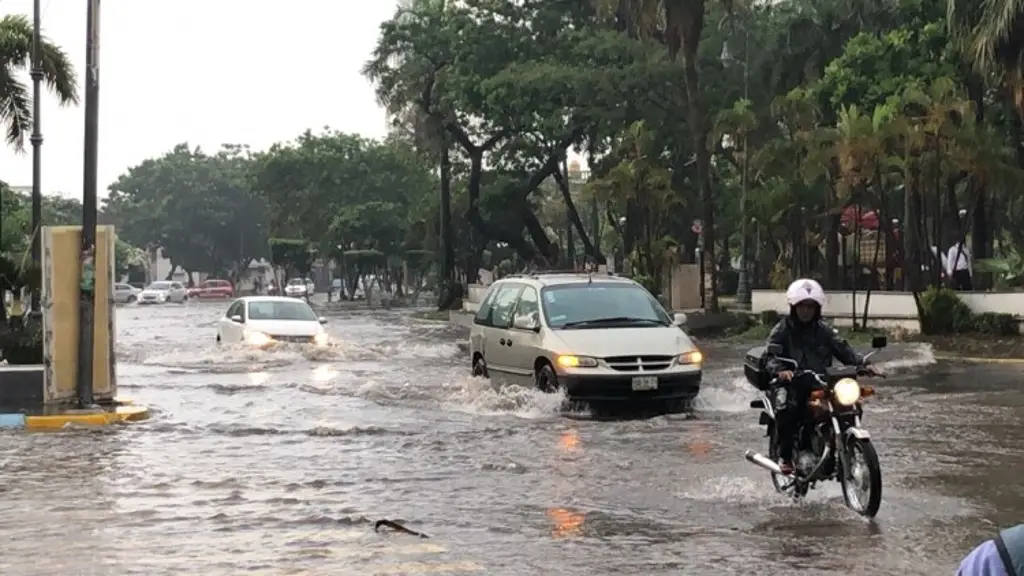 Imagen ¡Hay Aviso Especial! Pronostican lluvias y tormentas con descargas eléctricas en Veracruz