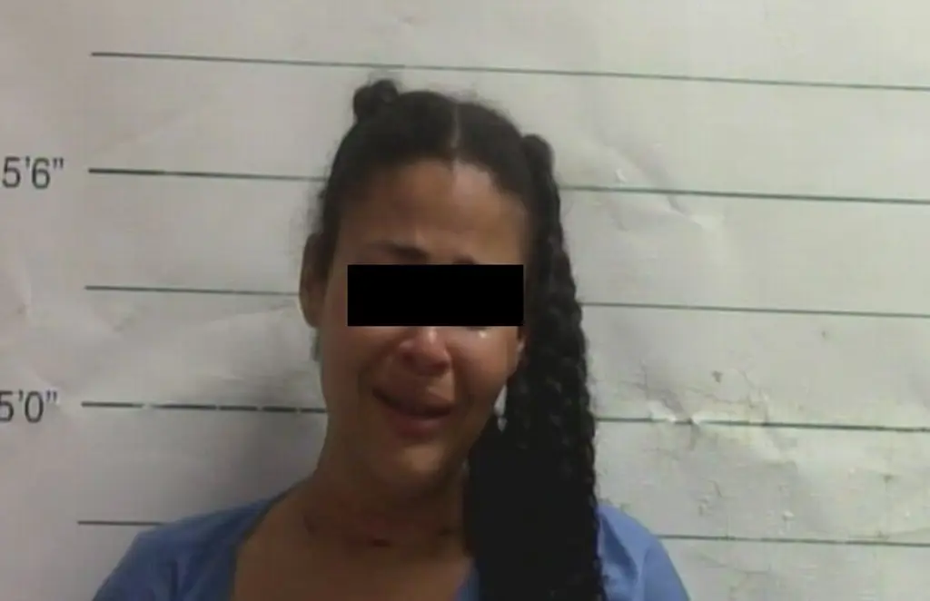 Imagen Mujer llamó a su exesposo por videollamada para mostrarle cómo le cortó el cuello a sus hijos