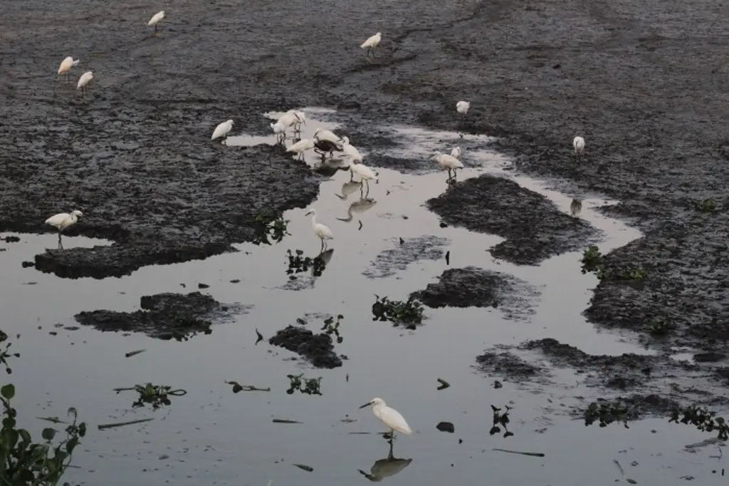Imagen Aumenta el número de municipios anormalmente secos en Veracruz; suman 152: Conagua