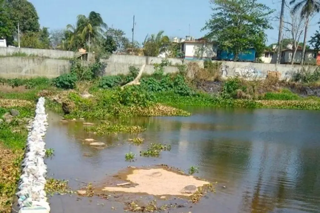 Imagen Aumenta presencia de bacterias fecales en río Jamapa: investigador UV
