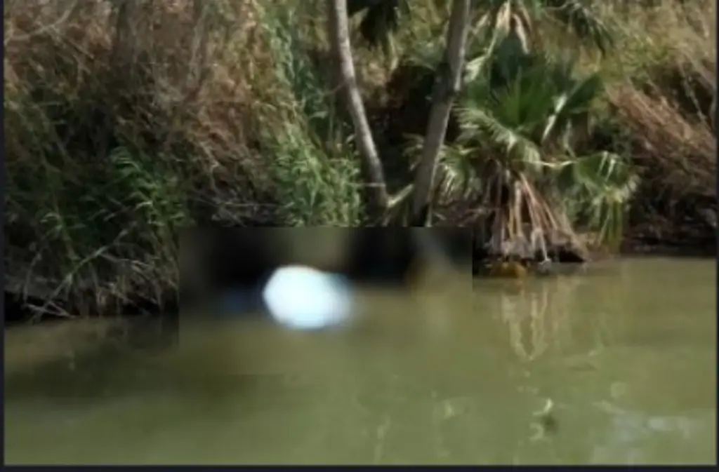 Imagen Hallan cuerpo en río de Veracruz cuando lo devoraban zopilotes
