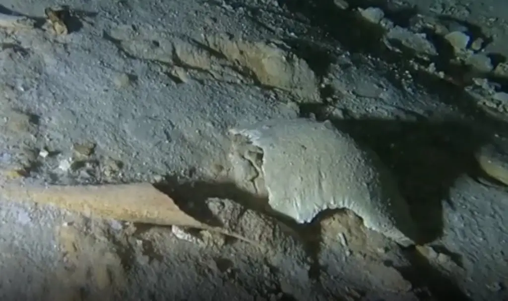 Imagen Hallan fósil humano de más de 8 mil años de antigüedad, debajo de Tren Maya