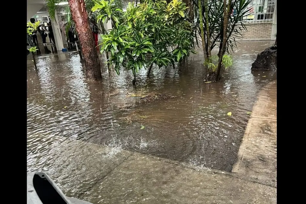 Imagen Inundadas, facultades de la Universidad Veracruzana en Boca del Río  (+Fotos y video)