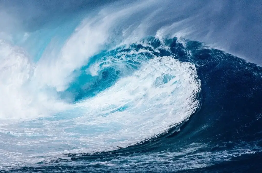 Imagen ¿Podría ocurrir algún tsunami en Veracruz? Esto explica experta 