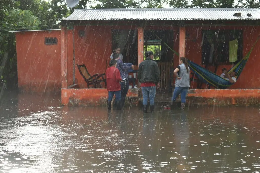 Imagen Por lluvias agricultores detienen actividades en el campo en Tlalixcoyan, Veracruz