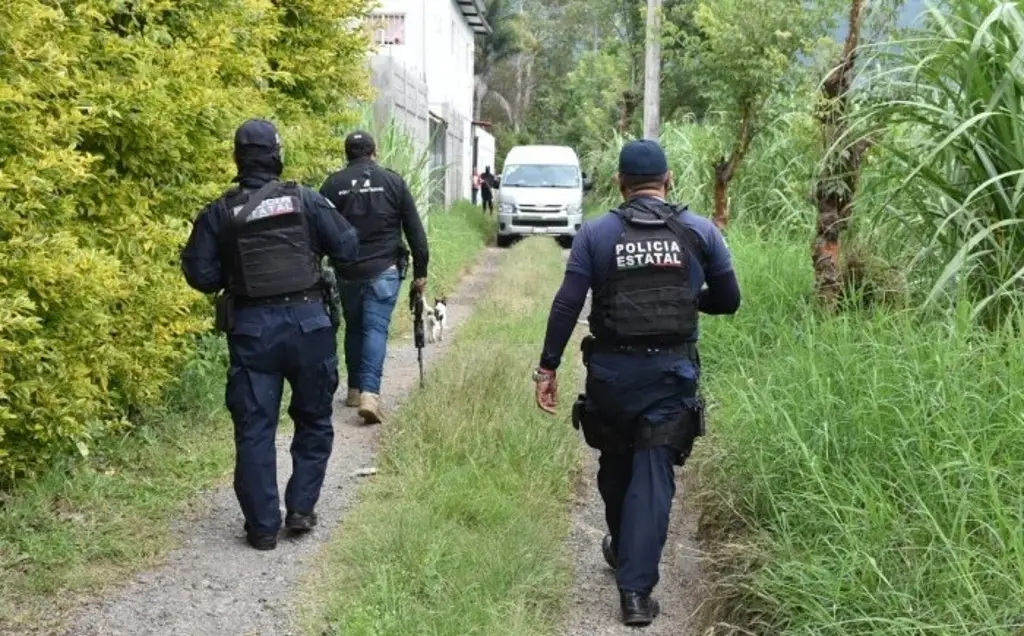 Imagen Ya son 15 los cuerpos recuperados en las fosas clandestinas de Atzacan, Veracruz 
