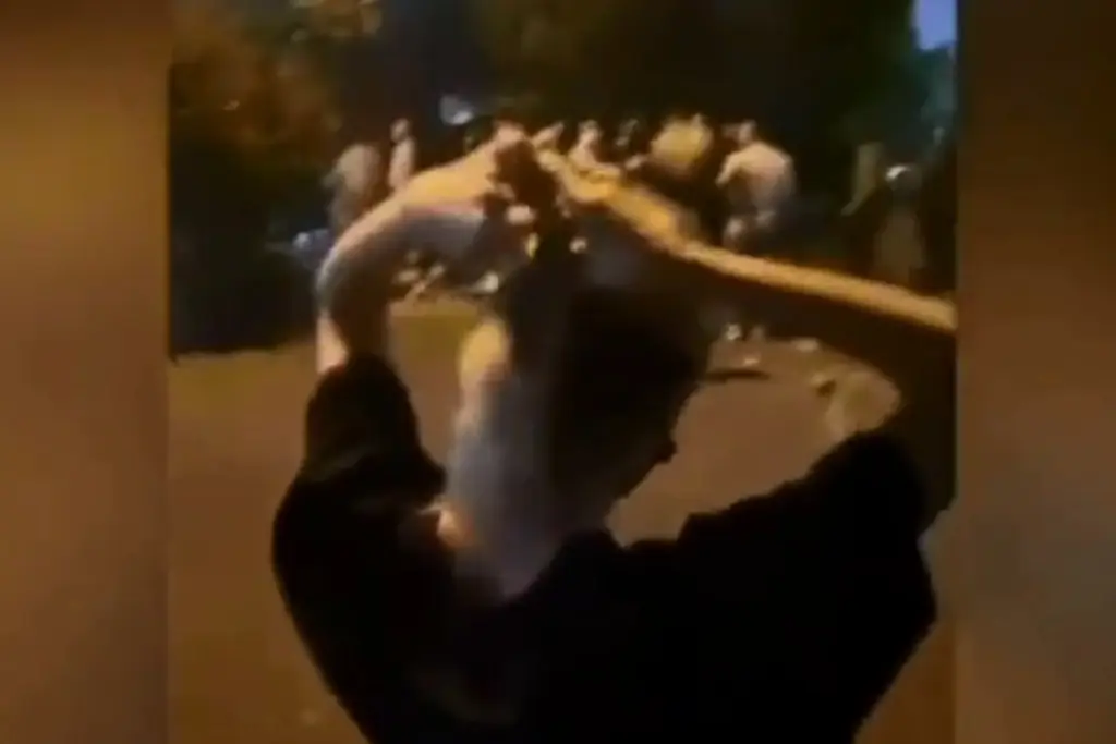 Imagen Reportan asesinato de Hadis Najafi, símbolo de protestas contra represión a mujeres en Irán 