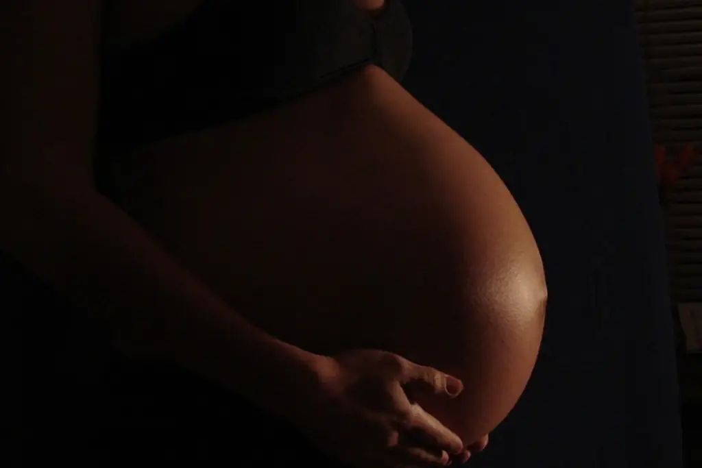 Imagen Denuncian por pederastia a sujeto que 'se llevó' y embarazó a menor en Veracruz
