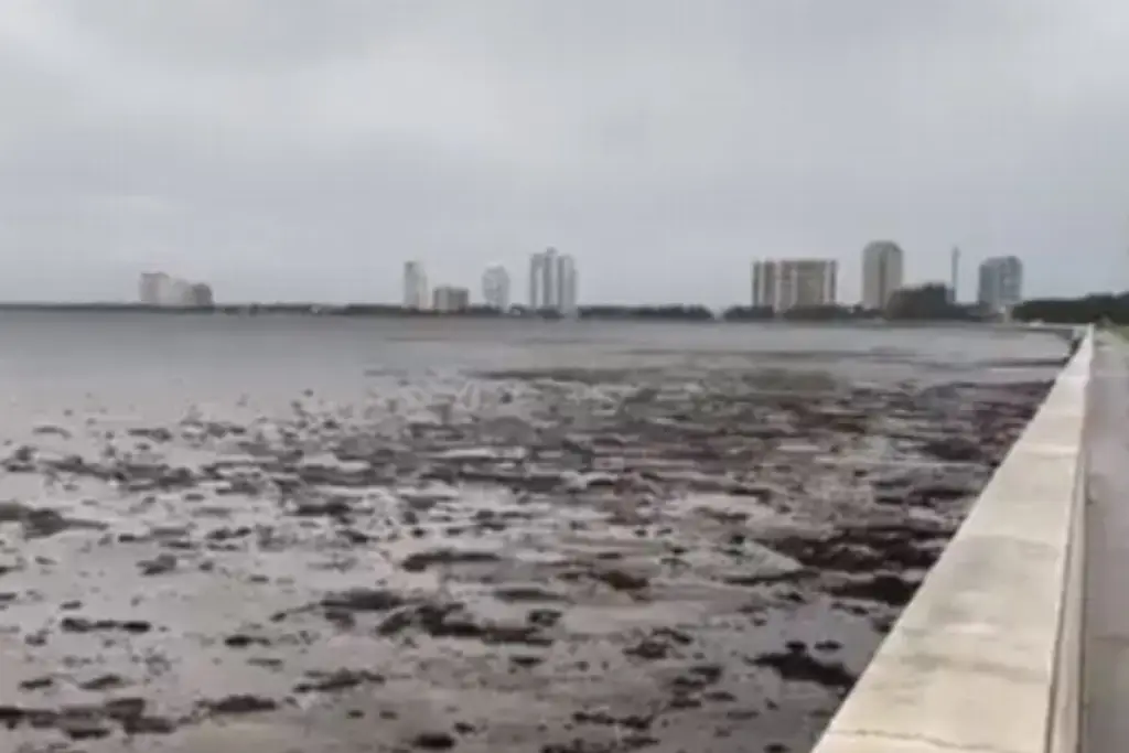 Imagen ¿Por qué se retiró el mar de la bahía de Tampa antes de la llegada del huracán Ian?
